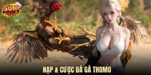 Hướng Dẫn Nạp & Cược Đá Gà Thomo SUN WIN - Quy Trình Đầy Đủ